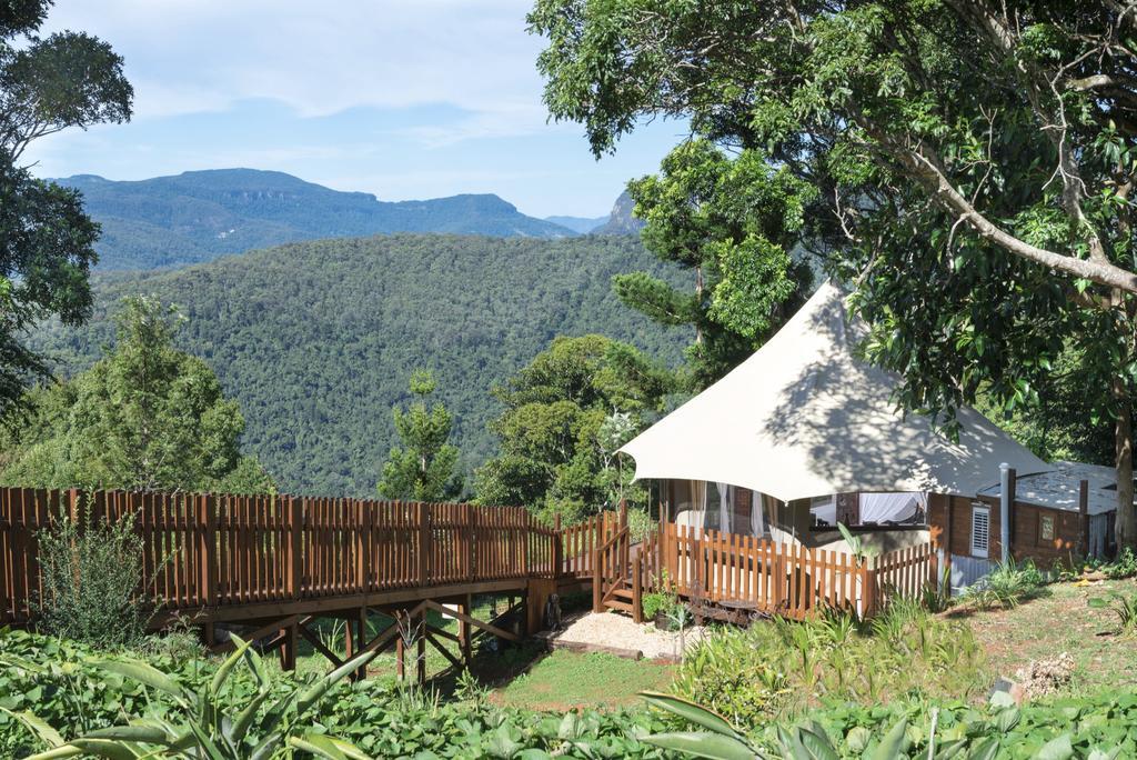 Clouds Safari Hotel Beechmont Luaran gambar